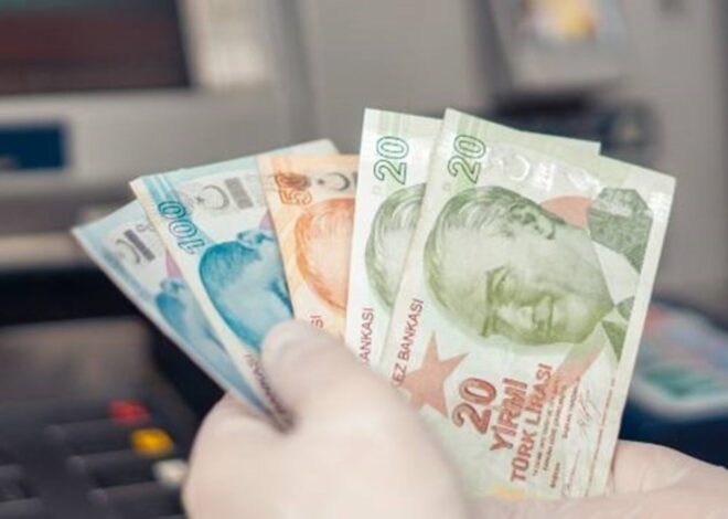 Yeni 5 TL ve 50 TL banknotlar çıkacak mı? Yeni 5 TL ve 50 TL banknotlar çıktı mı?